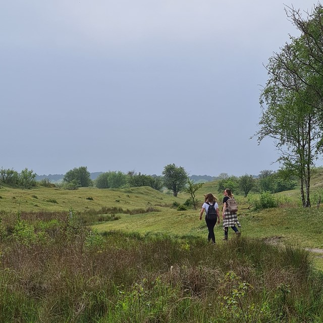 De Zeepeduinen bij Burg-Haamstede