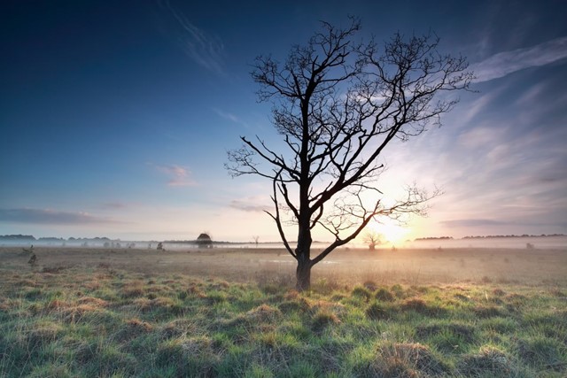 5x de mooiste wandelroutes in De Kampina
