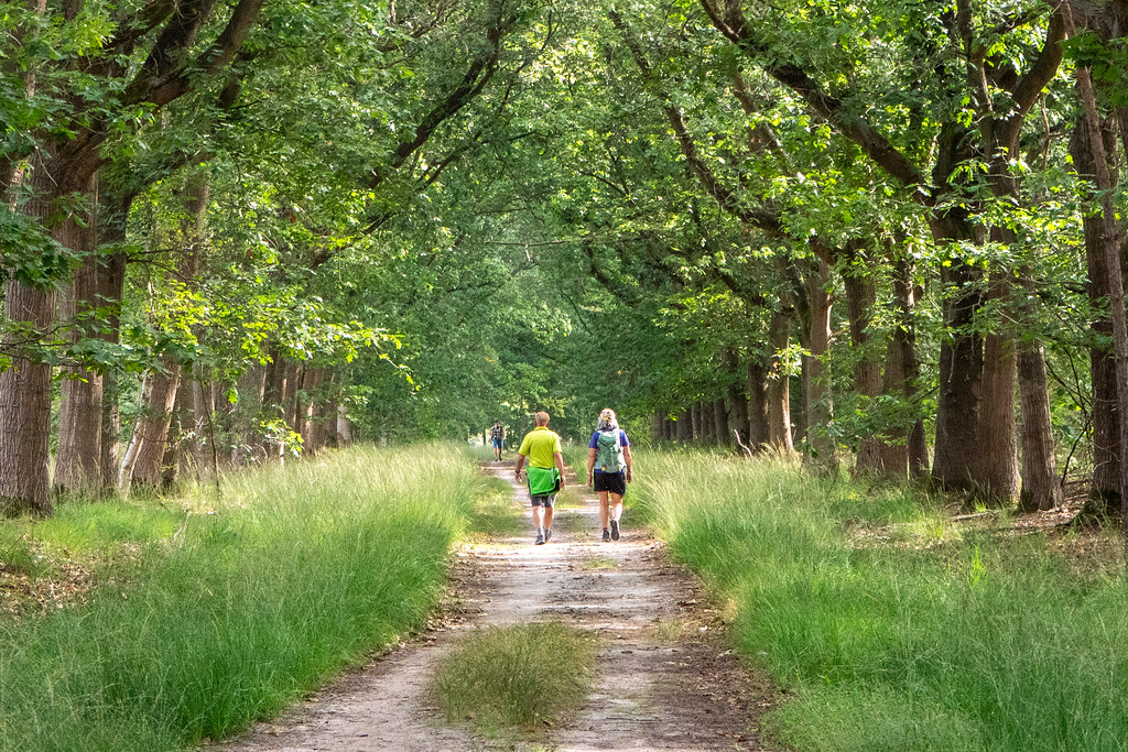 OLAT Wandeldagen (7)