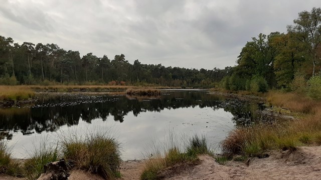 De Oisterwijkse Bossen en Vennen bij Moergestel