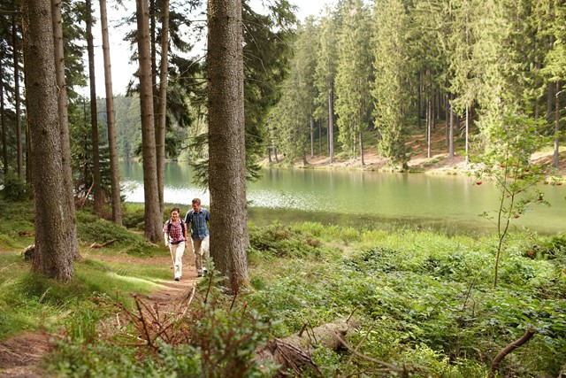 Vijverlandschap langs de Liebesbankweg bij Hahnenklee, Foto: @HTV, M. Gloger