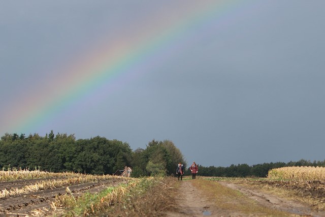 Wandelen onder de regenboog in Steenbergen. (Foto: © Ellen Wynia)