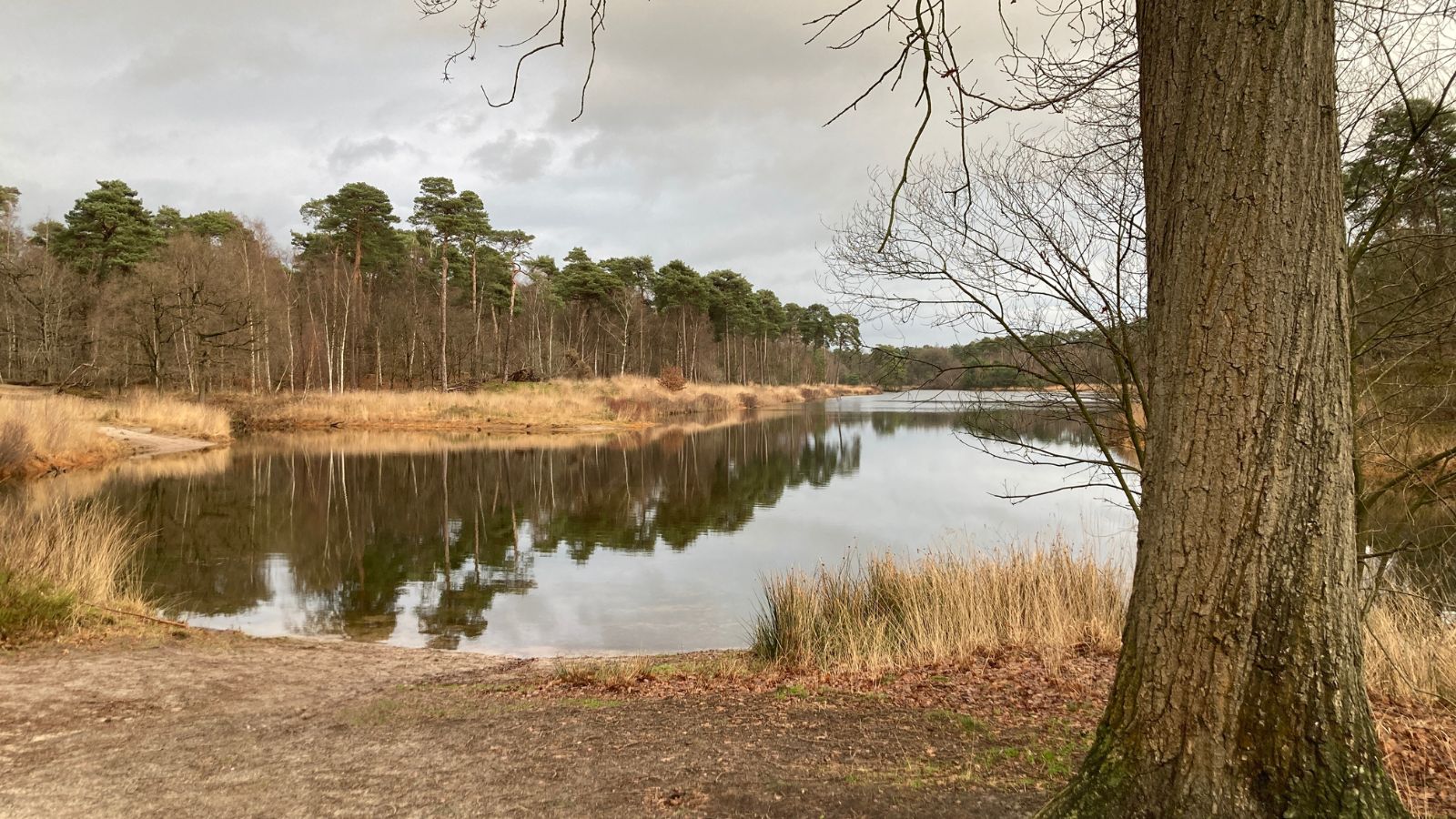 Wandelwoorden, deel 7: kilometervraag