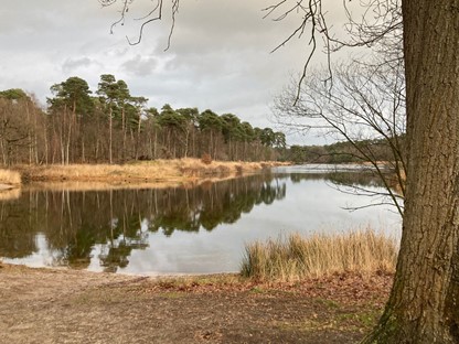 Wandelwoorden, deel 7: kilometervraag