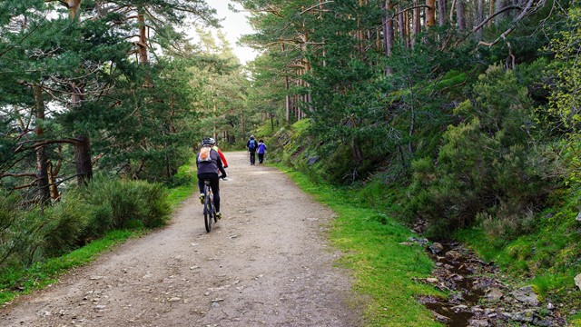 /ergernissen-wandelaars-mountainbikers