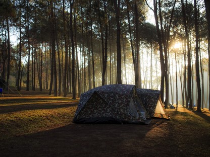 Natuurcamping
