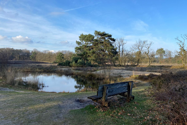 Wandelroute Wandeling Vol Verhalen Op Landgoed Warnsborn: Warnsborn heide