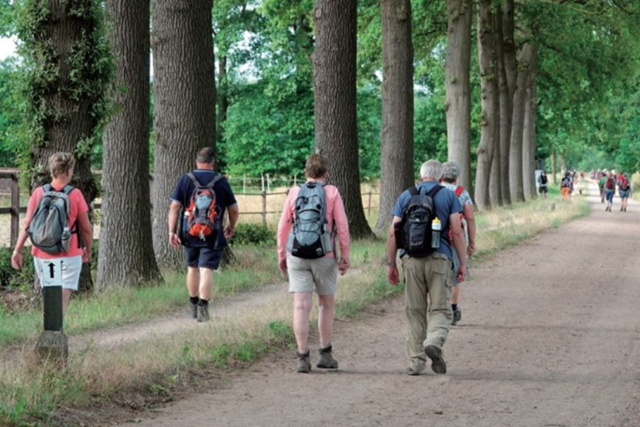 10X Vierdaagse Wandeltochten In Nederland; Wandelroute Barchem
