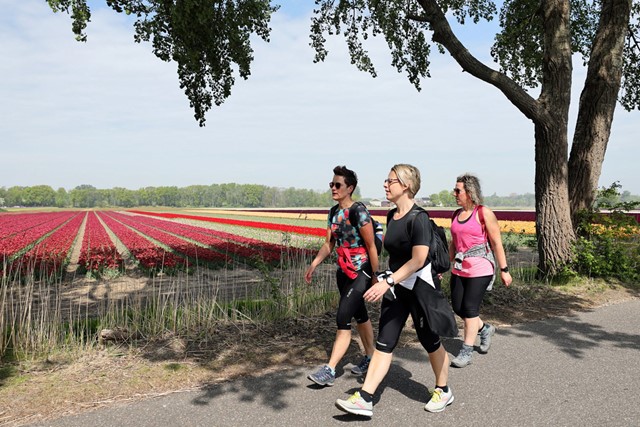 Proef de lente tijdens deze 8 gezellige wandelevenementen; Bollenwandeling Katwijk