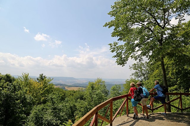 Geniet van de natuur en geschiedenis op een van de vele wandelroutes in de Groene Band