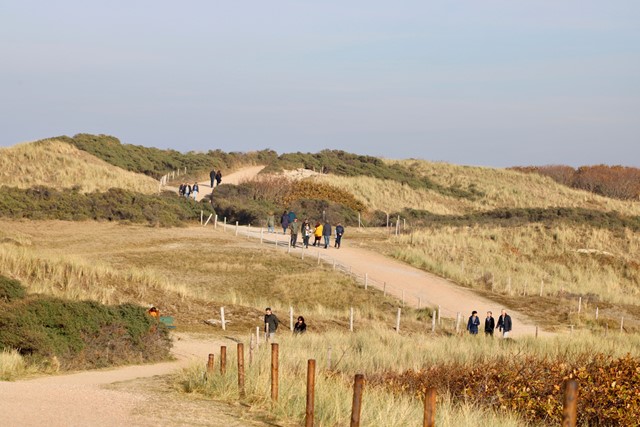 meerdere wandelaars lopen door de duinen van Oostkapelle.