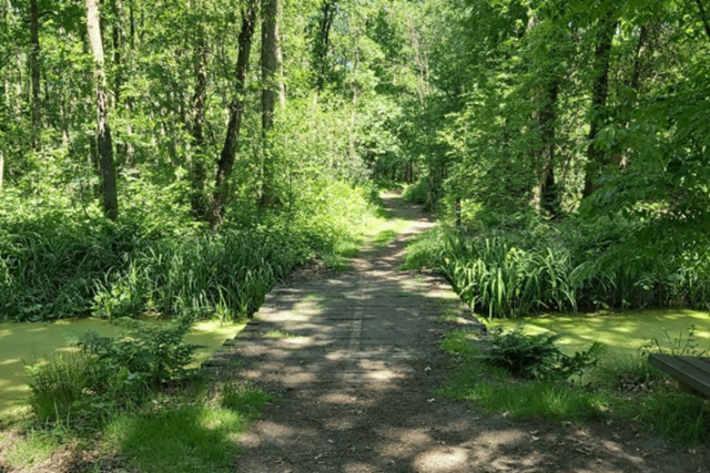 Wandelroutes In Limburg 10 Tips Het Schuitwater