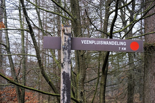 Het startpunt van de Veenpluisroute