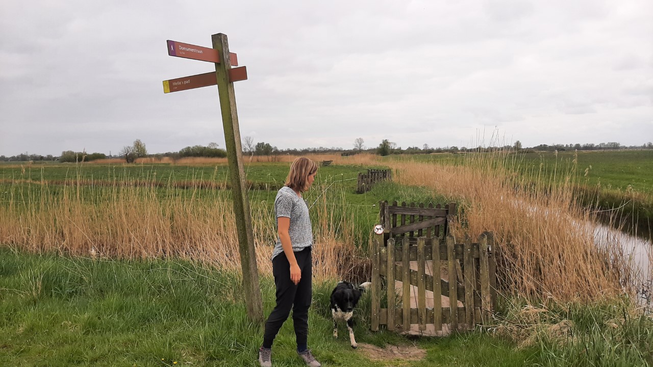 Afbeelding Saskia van den Brand