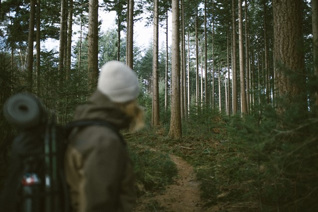 Trektocht Talks winterkamperen dit heb je nodig; in het bos