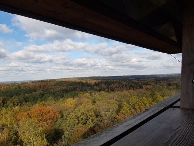 Afbeelding 1 | Wandelen in montferland tips
