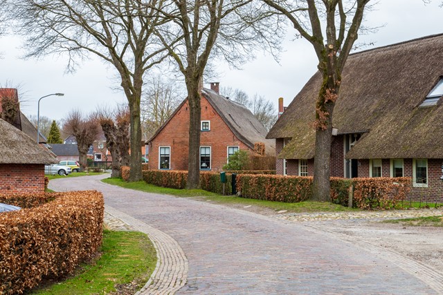 Oud huisjes met rieten daken in Norg.