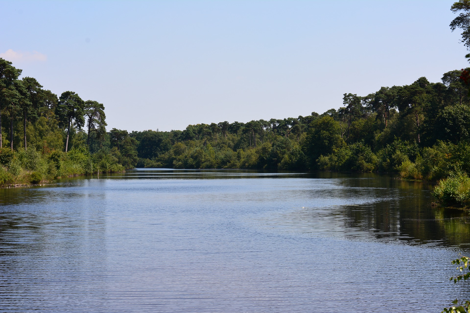 Rivier met groene bossen aan de zijkant