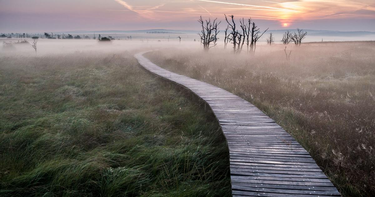 De Hoge Venen in de Belgische Ardennen