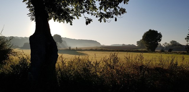 Het Pelgrimspad gaat onder meer door de heuvels van Zuid-Limburg