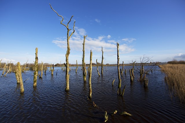 Nationaal Park De Alde Feanen