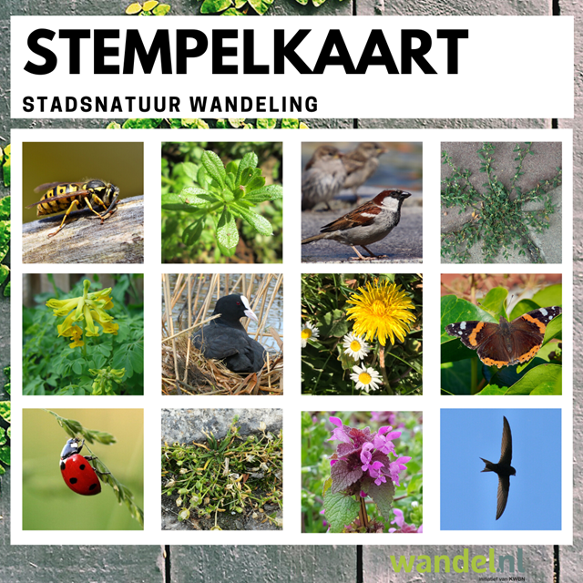 Afbeelding 13 | Neem de stempelkaart mee op je volgende stadswandeling en kijk of je deze platen en dieren allemaal kunt spotten.