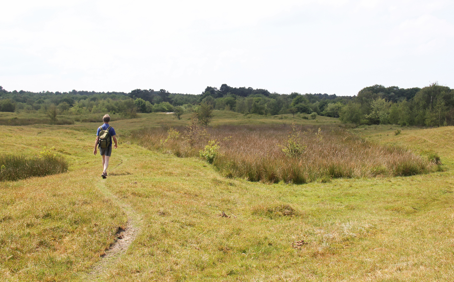Afbeelding Zeepeduinen