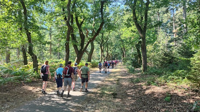 Tips Wandelen In De Hitte Ton De Brabander