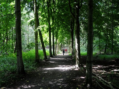 De stille kern Horsterwold Zeewolde