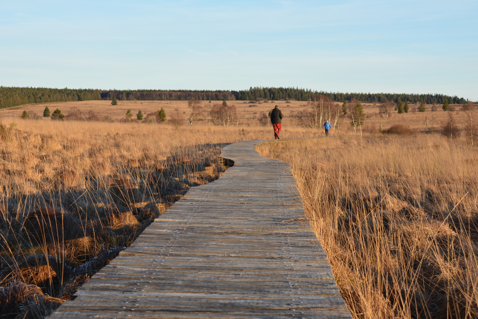 Venntrilogie Belgie; vlonderpad