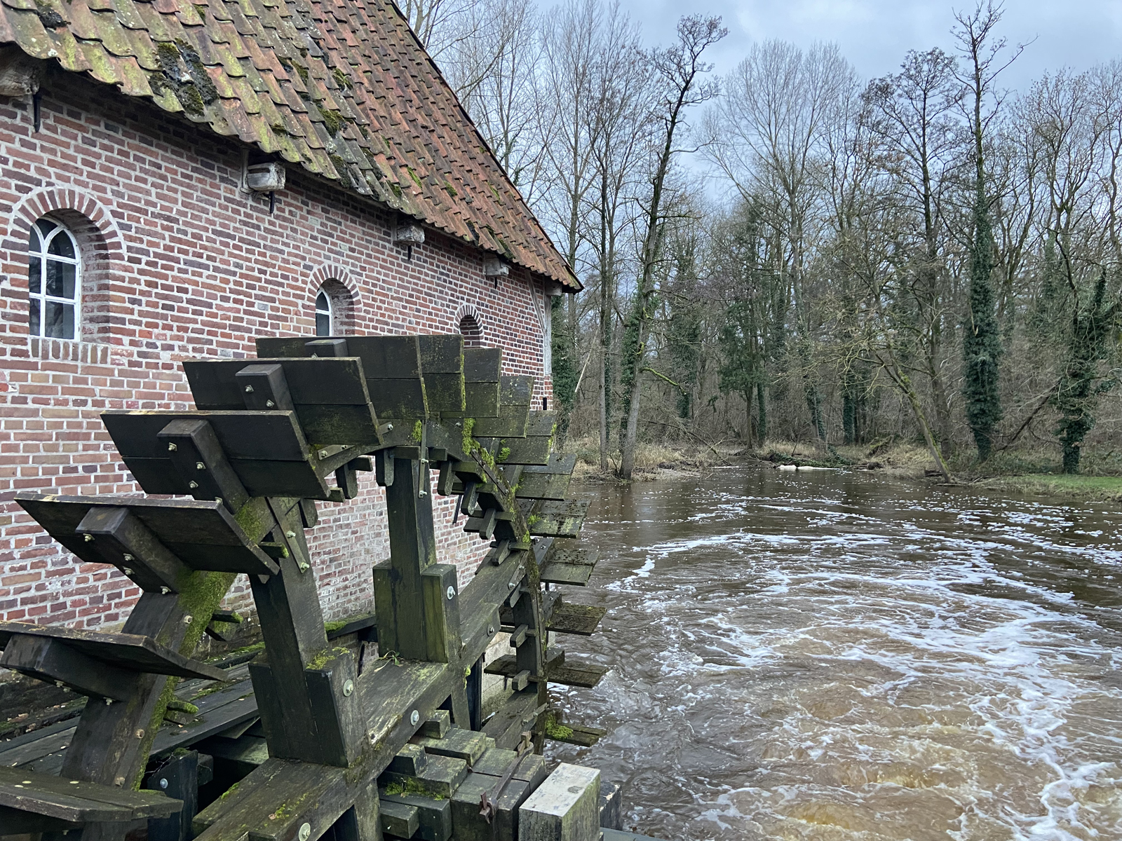 Wandelroute Scholtenpad dagwandeling E; Berenschot's Watermolen