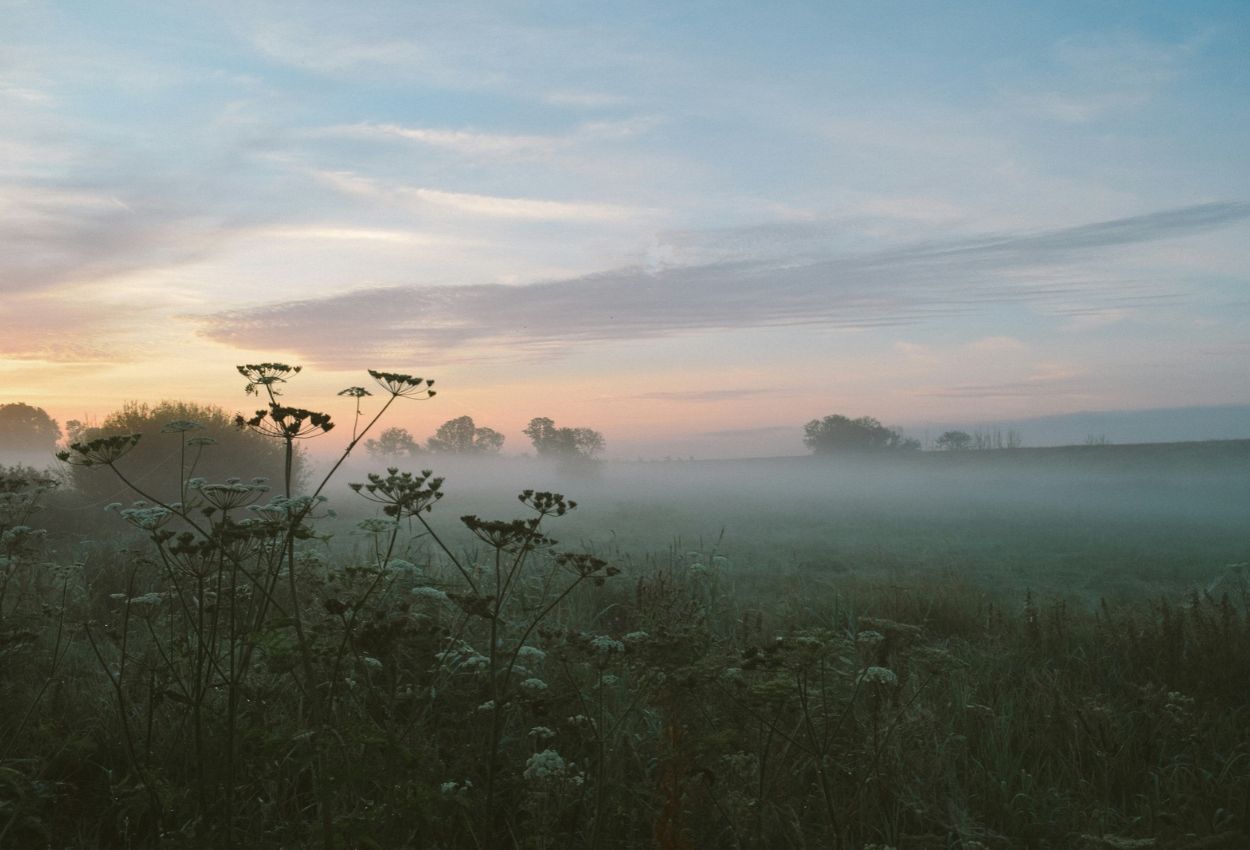 Overijssel (Foto: © Jisca Lucia / Unsplash)