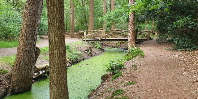 10 Wandelroutes Op De Utrechtse Heuvelrug Wandelroute Zeisterbos Sprengen In Het Zeisterbos