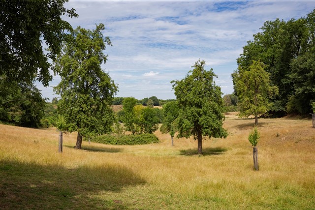 Boomgaard Bemelerberg