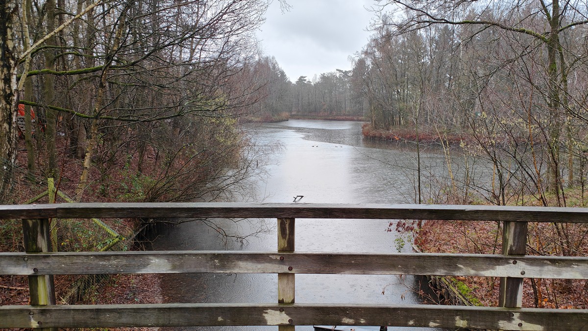 afbeelding van een uitzicht vanaf een bruggetje in Recreatiegebied Het Hulsbeek.