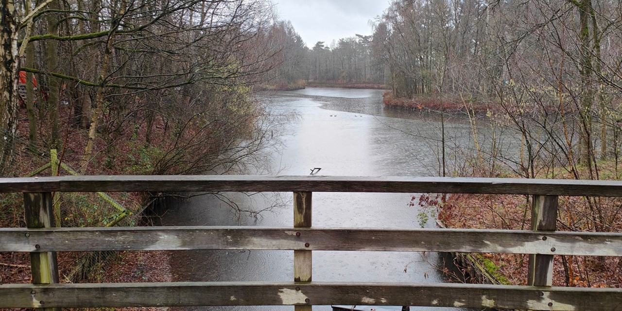 afbeelding van een uitzicht vanaf een bruggetje in Recreatiegebied Het Hulsbeek.