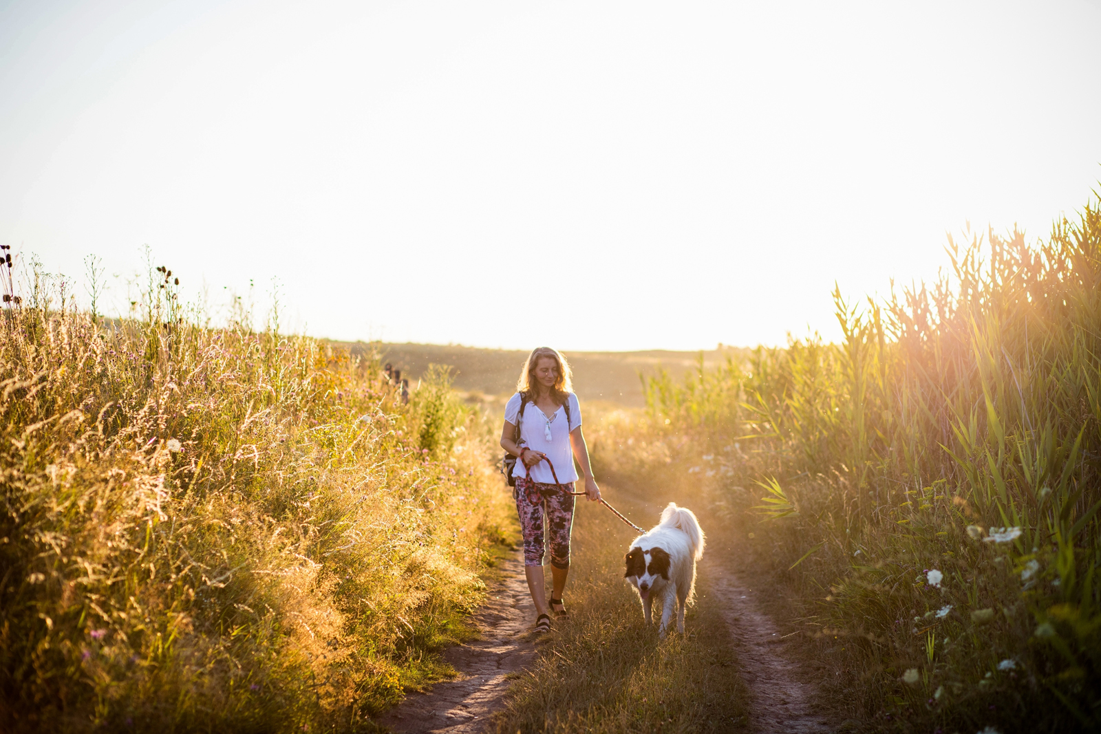 vrouw en hond wandelen in de zon.