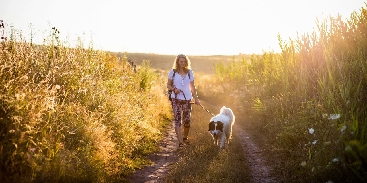 vrouw en hond wandelen in de zon.
