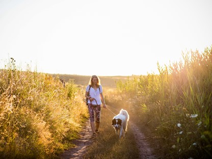 vrouw en hond wandelen in de zon.
