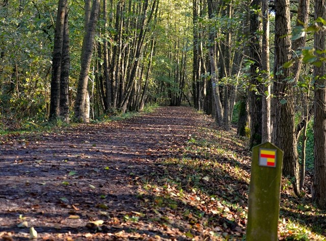 De markering van de Streek-GR Waas- en Reynaertland
