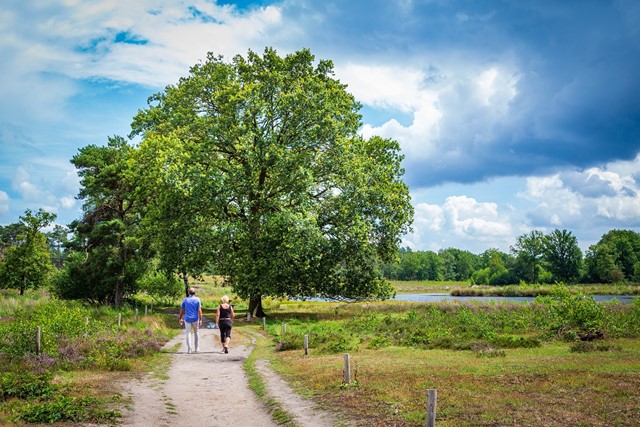 De Overasseltse en Hatertse Vennen