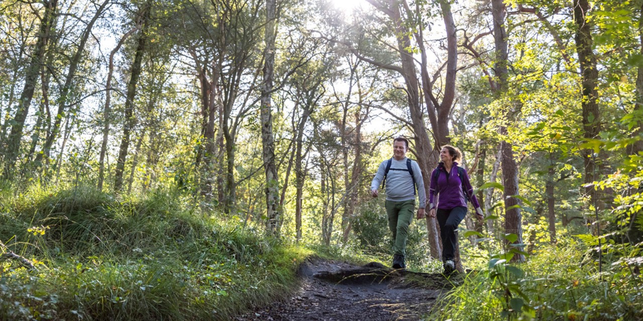 Help Ons Wandelen Nóg Leuker Te Maken!