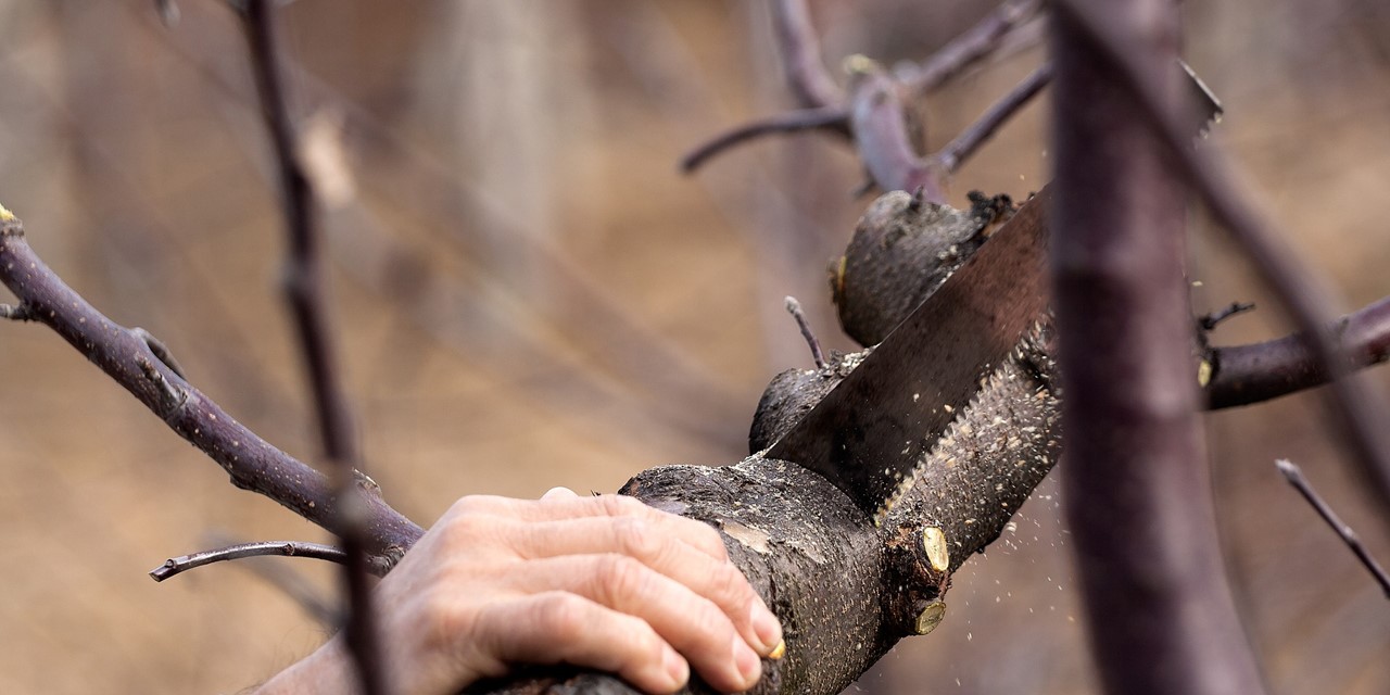 Rijke historie in West-Brabant, waarbij in dit gebied turf werd gewonnen