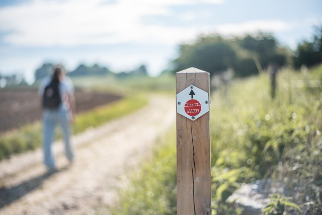 Passerellewandeling Riemst