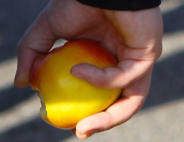 Appel in hand