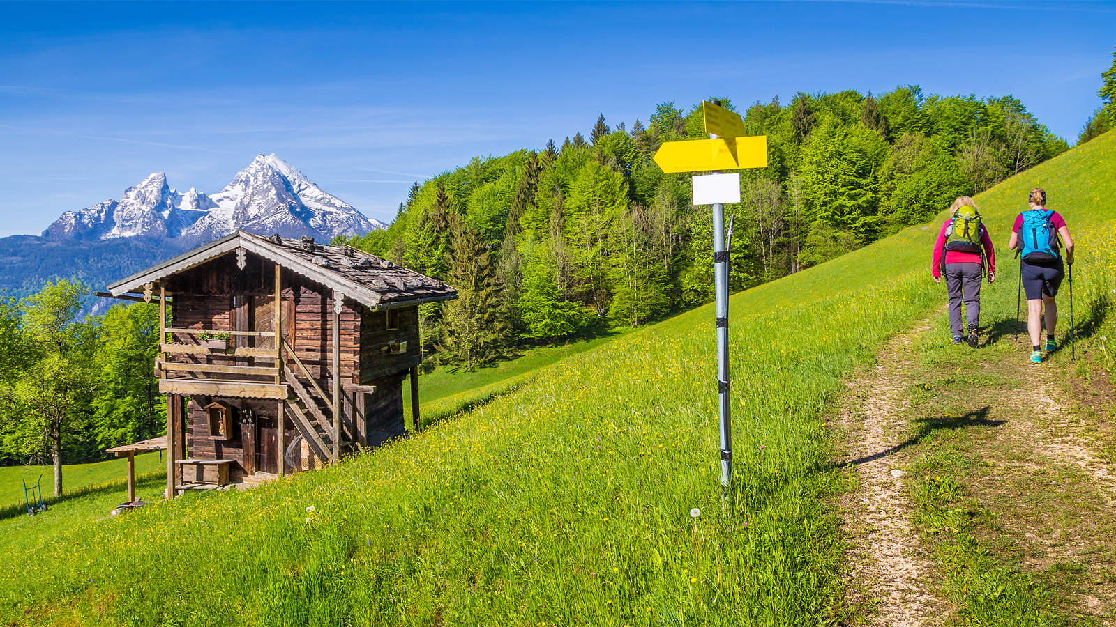 Wandelen door de Alpen 