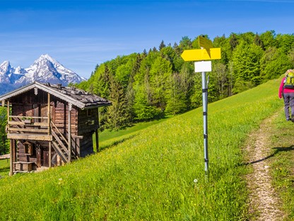 Wandelen door de Alpen