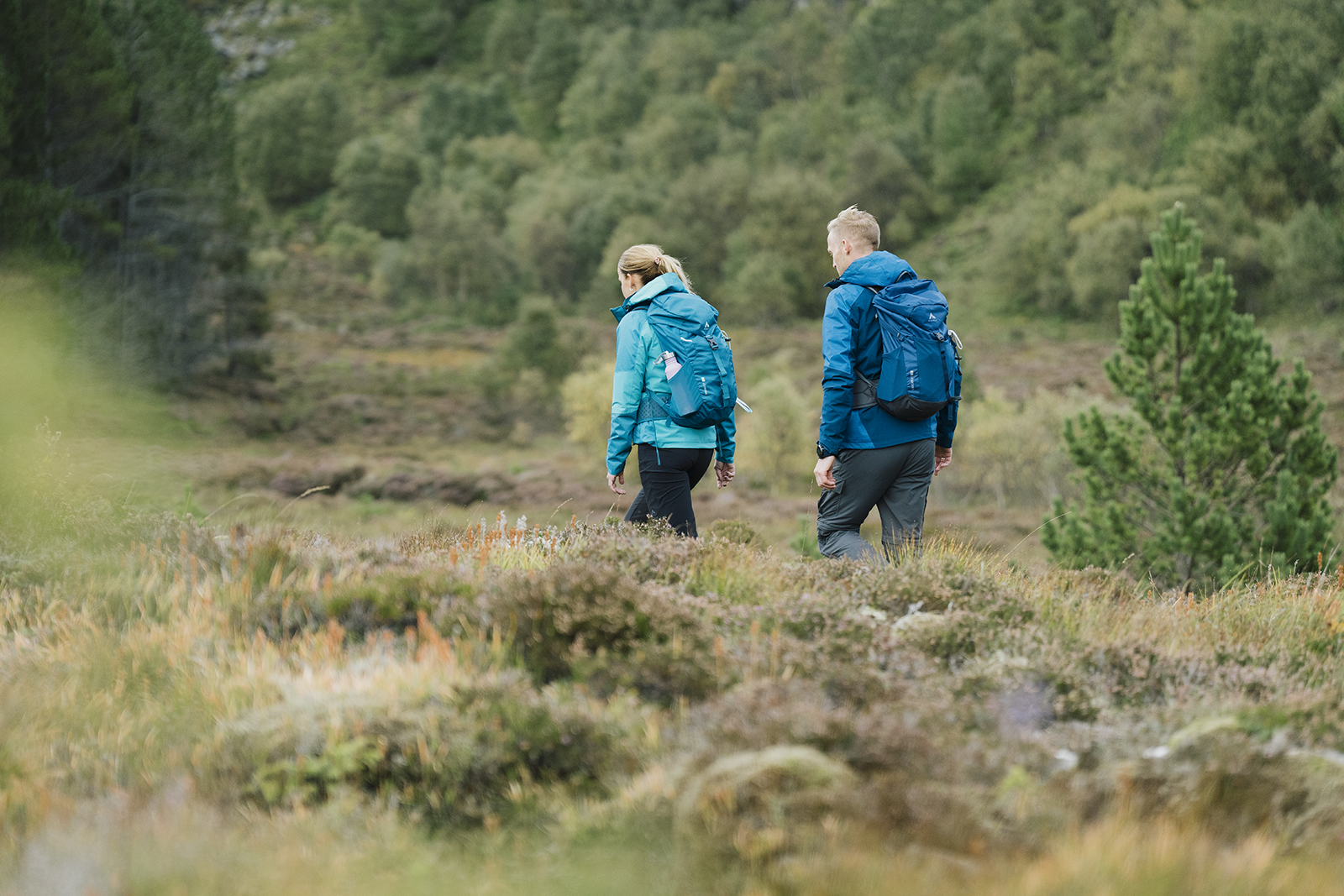 Wandelaars over de heide