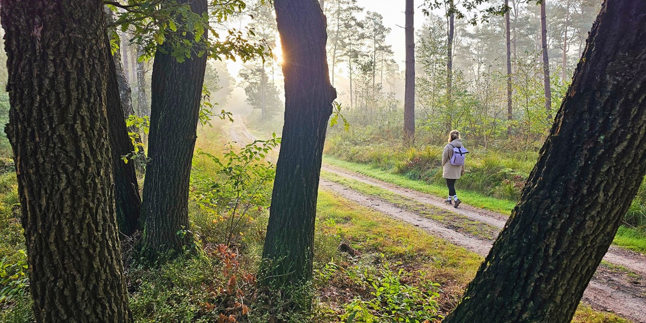 Wandelroute Veluwe Hendrik Mouwenveldroute