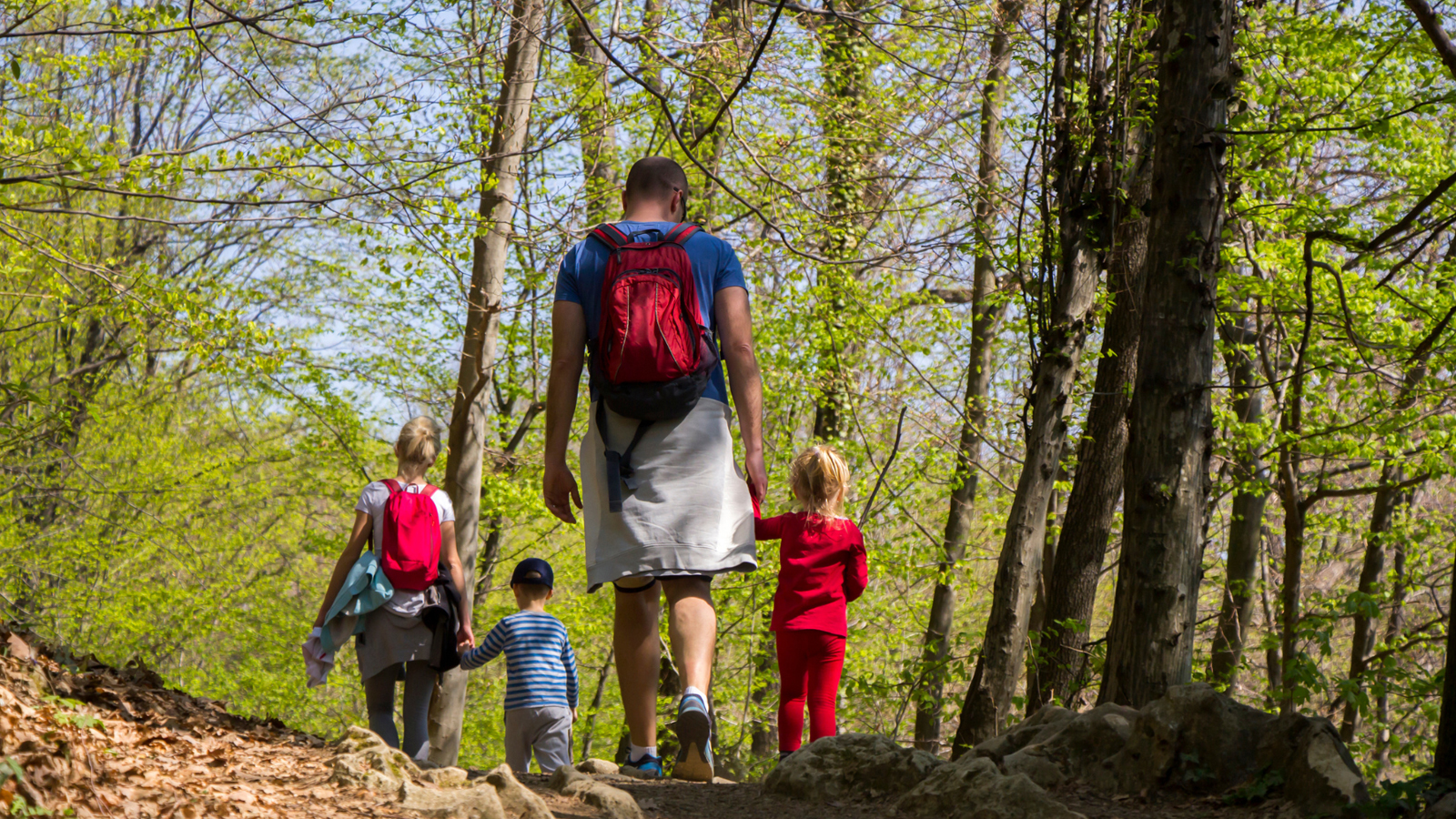 Man wandelt met kinderen in een bos